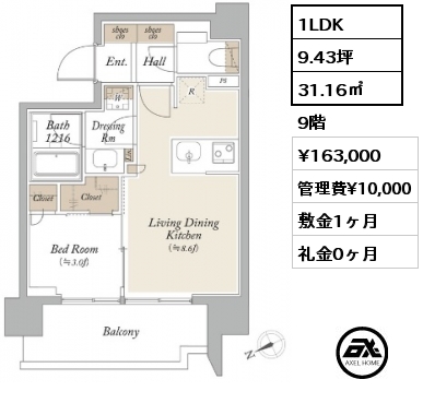 間取り1 1LDK 31.16㎡ 9階 賃料¥163,000 管理費¥10,000 敷金1ヶ月 礼金0ヶ月 　