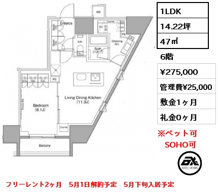 間取り1 1LDK 47㎡ 6階 賃料¥275,000 管理費¥25,000 敷金1ヶ月 礼金0ヶ月 フリーレント2ヶ月　5月1日解約予定　5月下旬入居予定