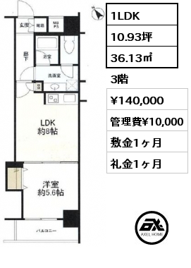 間取り11 1LDK 36.13㎡ 3階 賃料¥140,000 管理費¥10,000 敷金1ヶ月 礼金1ヶ月