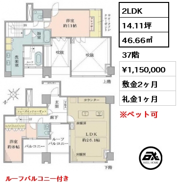 1LDK 46.66㎡ 5階 賃料¥350,000 敷金2ヶ月 礼金1ヶ月