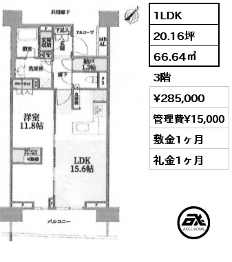 1LDK 66.64㎡ 3階 賃料¥285,000 管理費¥15,000 敷金1ヶ月 礼金1ヶ月