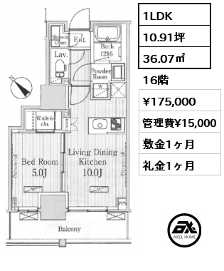 1LDK 36.07㎡ 16階 賃料¥175,000 管理費¥15,000 敷金1ヶ月 礼金1ヶ月