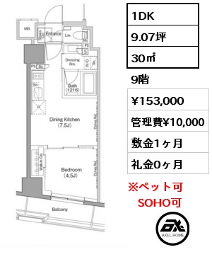 1DK 30㎡ 9階 賃料¥153,000 管理費¥10,000 敷金1ヶ月 礼金0ヶ月