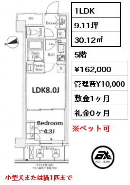 1LDK 30.12㎡ 5階 賃料¥162,000 管理費¥10,000 敷金1ヶ月 礼金0ヶ月 4月上旬案内可能