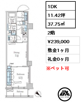 1DK 37.75㎡ 2階 賃料¥250,000 敷金1ヶ月