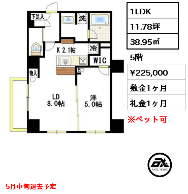 間取り3 1LDK 38.95㎡ 5階 賃料¥225,000 敷金1ヶ月 礼金1ヶ月 5月中旬退去予定