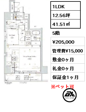 1LDK 41.51㎡ 5階 賃料¥205,000 管理費¥15,000 敷金0ヶ月 礼金0ヶ月
