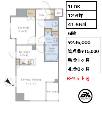 1LDK 41.66㎡ 6階 賃料¥236,000 管理費¥15,000 敷金1ヶ月 礼金1ヶ月 5月中旬入居予定