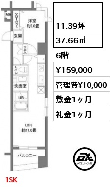 間取り5  37.66㎡ 6階 賃料¥159,000 管理費¥10,000 敷金1ヶ月 礼金1ヶ月 1SK