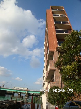 1265_field01.jpg