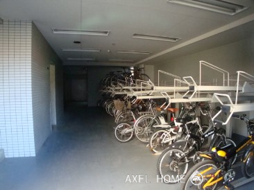 1515_field01.jpg