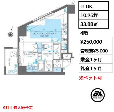 間取り1 1LDK 33.88㎡  賃料¥250,000 管理費¥5,000 敷金1ヶ月 礼金1ヶ月 9月上旬入居予定