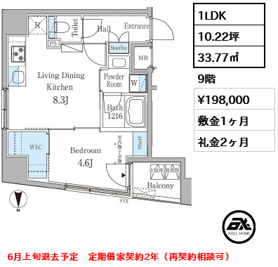 間取り1 1LDK 33.77㎡  賃料¥198,000 敷金1ヶ月 礼金2ヶ月 6月上旬退去予定　定期借家契約2年（再契約相談可）　