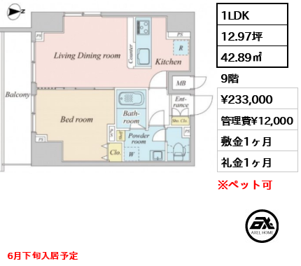 間取り1 1LDK 42.89㎡  賃料¥233,000 管理費¥12,000 敷金1ヶ月 礼金1ヶ月 6月下旬入居予定