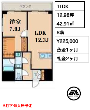 間取り1 1LDK 42.91㎡  賃料¥225,000 敷金1ヶ月 礼金2ヶ月 5月下旬入居予定