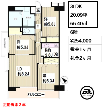 間取り1 3LDK 66.40㎡  賃料¥254,000 敷金1ヶ月 礼金2ヶ月 定期借家２年