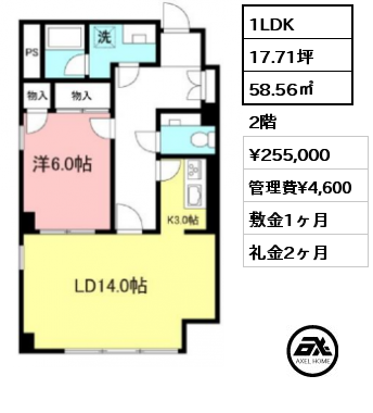 間取り1 1LDK 58.56㎡ 2階 賃料¥255,000 管理費¥4,600 敷金1ヶ月 礼金2ヶ月