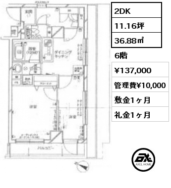間取り1 2DK 36.88㎡ 6階 賃料¥137,000 管理費¥10,000 敷金1ヶ月 礼金1ヶ月