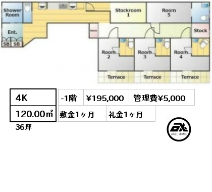 間取り1 4K 120.00㎡ -1階 賃料¥195,000 管理費¥5,000 敷金1ヶ月 礼金1ヶ月 　