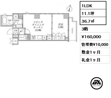 間取り1 1LDK 36.7㎡ 3階 賃料¥160,000 管理費¥10,000 敷金1ヶ月 礼金1ヶ月
