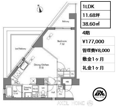 1LDK 38.60㎡  賃料¥177,000 管理費¥8,000 敷金1ヶ月 礼金1ヶ月
