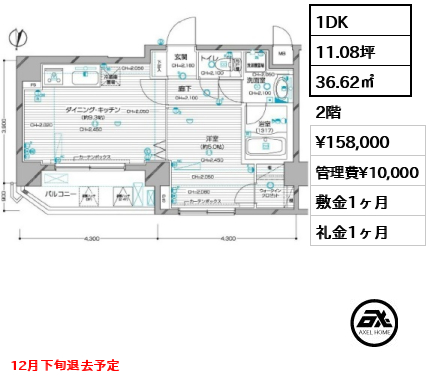 間取り1 1DK 36.62㎡  賃料¥158,000 管理費¥10,000 敷金1ヶ月 礼金1ヶ月 12月下旬退去予定