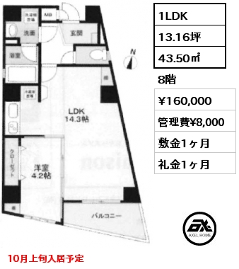 間取り1 1LDK 43.50㎡ 8階 賃料¥160,000 管理費¥8,000 敷金1ヶ月 礼金1ヶ月 10月上旬入居予定