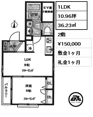 間取り1 1LDK 36.23㎡ 2階 賃料¥150,000 敷金1ヶ月 礼金1ヶ月
