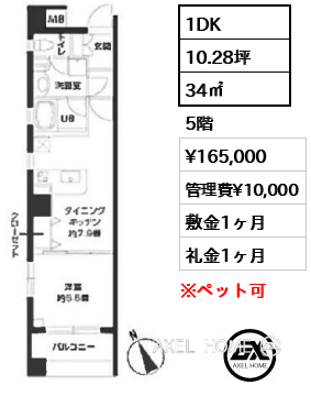 間取り1 1DK 34㎡  賃料¥165,000 管理費¥10,000 敷金1ヶ月 礼金1ヶ月