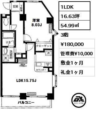 間取り1 1LDK 54.99㎡ 3階 賃料¥180,000 管理費¥10,000 敷金1ヶ月 礼金1ヶ月