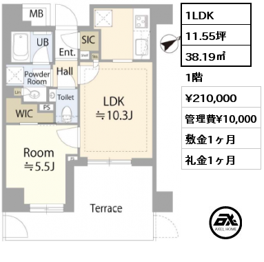 1LDK 38.19㎡ 1階 賃料¥210,000 管理費¥10,000 敷金1ヶ月 礼金1ヶ月