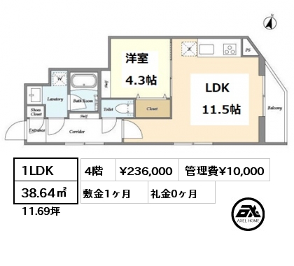間取り10 1LDK 38.64㎡ 4階 賃料¥236,000 管理費¥10,000 敷金1ヶ月 礼金0ヶ月 10月中旬入居予定