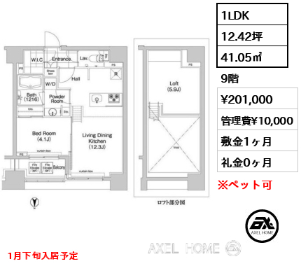 間取り10 1LDK 41.05㎡  賃料¥201,000 管理費¥10,000 敷金1ヶ月 礼金0ヶ月 1月下旬入居予定