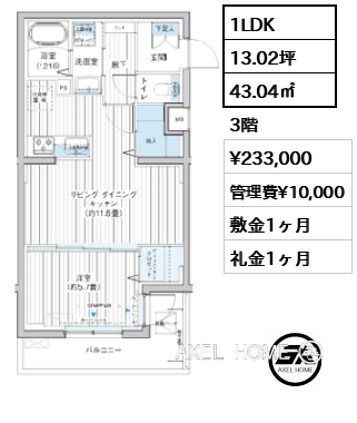 間取り10 1LDK 43.04㎡ 賃料¥233,000 管理費¥10,000 敷金1ヶ月 礼金1ヶ月