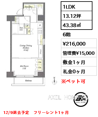 1LDK 43.38㎡  賃料¥216,000 管理費¥15,000 敷金1ヶ月 礼金0ヶ月 12/9退去予定　フリーレント1ヶ月