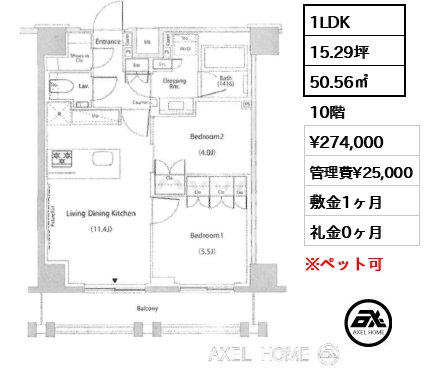 1LDK 50.56㎡  賃料¥274,000 管理費¥25,000 敷金1ヶ月 礼金0ヶ月 　