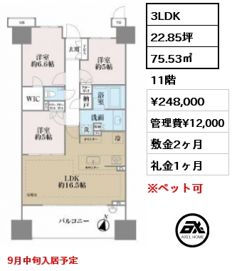 間取り10 3LDK 75.53㎡ 11階 賃料¥248,000 管理費¥12,000 敷金2ヶ月 礼金1ヶ月 9月中旬入居予定