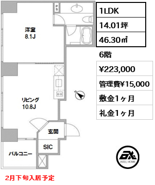 間取り10 1LDK 46.30㎡  賃料¥223,000 管理費¥15,000 敷金1ヶ月 礼金1ヶ月 2月下旬入居予定