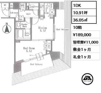 間取り10 1DK 36.05㎡  賃料¥189,000 管理費¥11,000 敷金1ヶ月 礼金1ヶ月 　