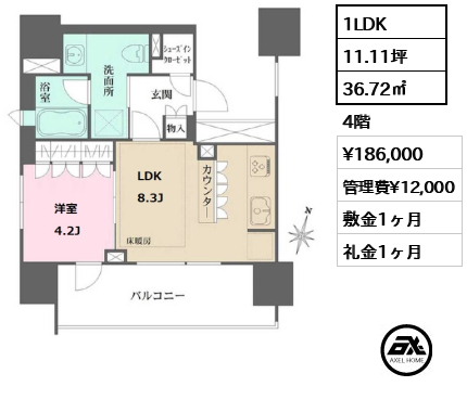 間取り10 1LDK 36.72㎡  賃料¥186,000 管理費¥12,000 敷金1ヶ月 礼金1ヶ月