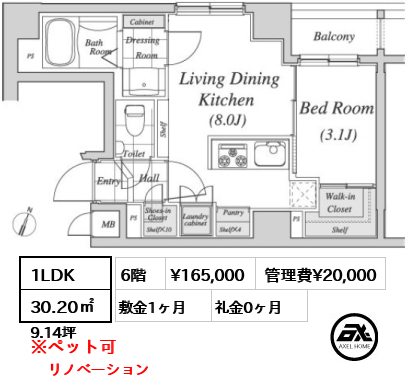 間取り10 1LDK 30.20㎡  賃料¥175,000 管理費¥10,000 敷金1ヶ月 礼金1ヶ月 11/28内見開始予定
