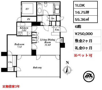 間取り10 1LDK 55.36㎡ 6階 賃料¥250,000 敷金2ヶ月 礼金0ヶ月 定期借家3年
