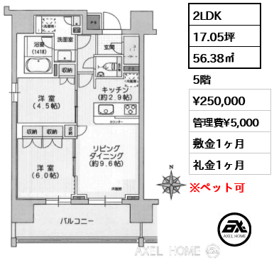 2LDK 56.38㎡  賃料¥250,000 管理費¥5,000 敷金1ヶ月 礼金1ヶ月