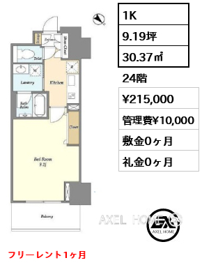 1K 30.37㎡  賃料¥215,000 管理費¥10,000 敷金0ヶ月 礼金0ヶ月 フリーレント1ヶ月　　