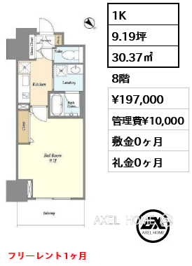 1K 30.37㎡  賃料¥197,000 管理費¥10,000 敷金0ヶ月 礼金0ヶ月 フリーレント1ヶ月　