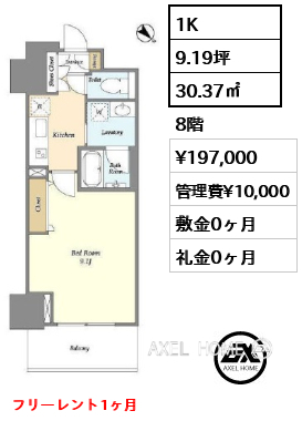 1K 30.37㎡  賃料¥197,000 管理費¥10,000 敷金0ヶ月 礼金0ヶ月 フリーレント1ヶ月　