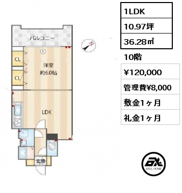 1LDK 36.28㎡ 10階 賃料¥120,000 管理費¥8,000 敷金1ヶ月 礼金1ヶ月