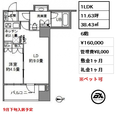 間取り11 1LDK 38.43㎡ 6階 賃料¥160,000 管理費¥8,000 敷金1ヶ月 礼金1ヶ月 9月下旬入居予定
