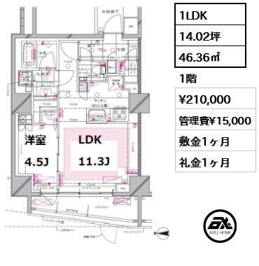 間取り11 1LDK 46.36㎡  賃料¥210,000 管理費¥15,000 敷金1ヶ月 礼金1ヶ月 11月中旬退去予定