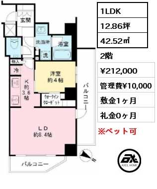 間取り11 1LDK 42.52㎡ 2階 賃料¥212,000 管理費¥10,000 敷金1ヶ月 礼金0ヶ月